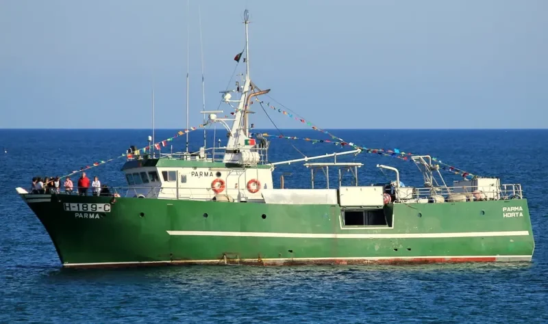 PARMA General Cargo IMO 9088926 photo 6