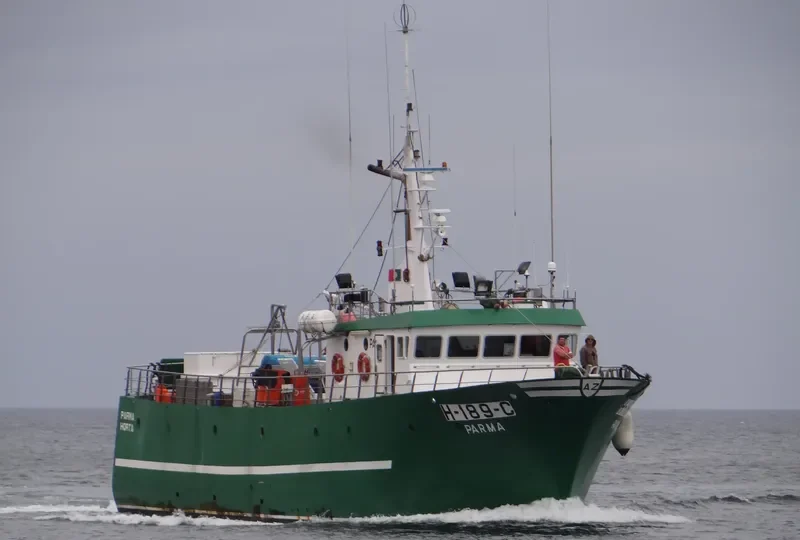 PARMA General Cargo IMO 9088926 photo 10