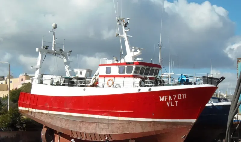 LELI General Cargo IMO 9089229