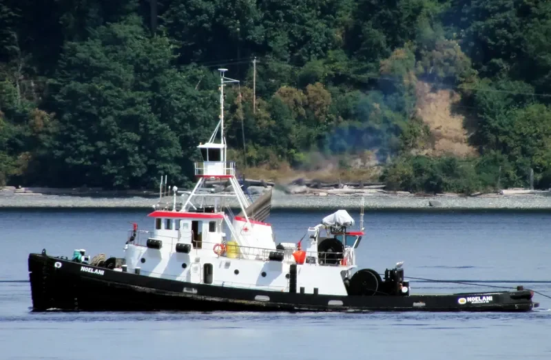 NOELANI General Cargo IMO 9089231 photo 4