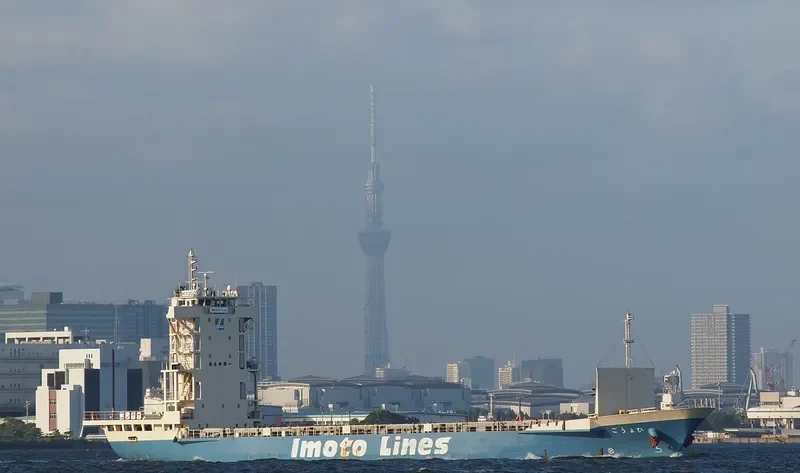 HYOGO Container Ship IMO 9089671 photo 4