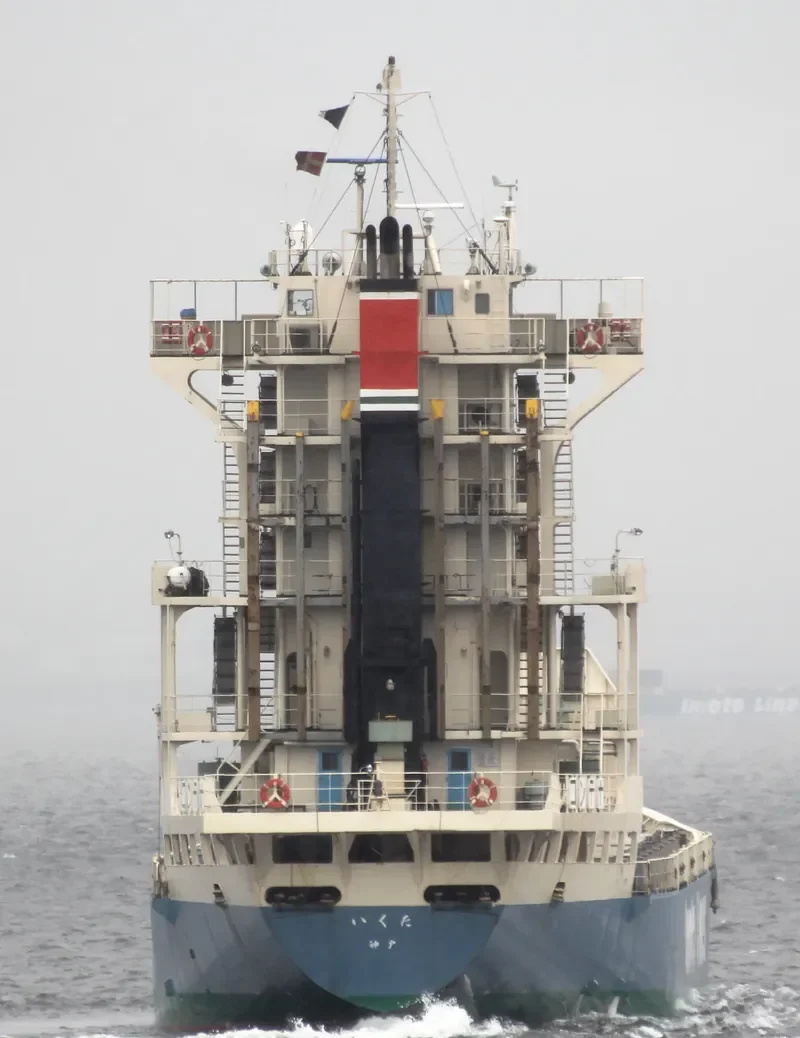 IKUTA Container Ship IMO 9089683 photo 2