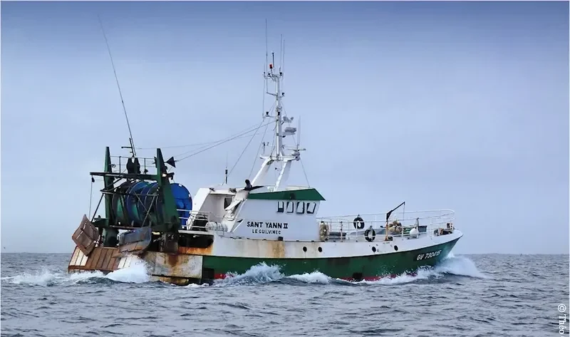 VIRIATO PRIMERO General Cargo IMO 9089750 photo 3
