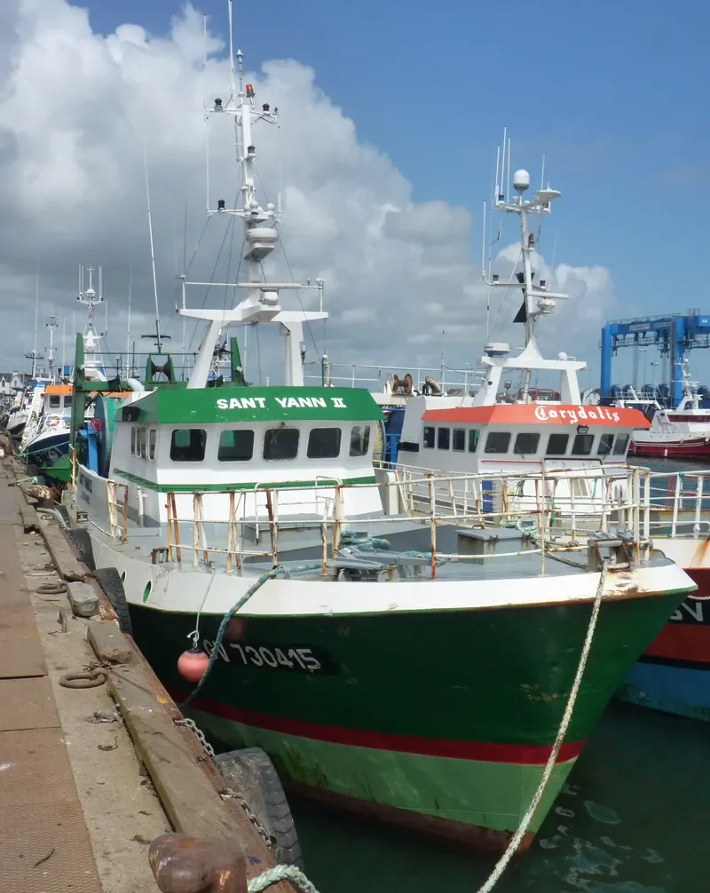 VIRIATO PRIMERO General Cargo IMO 9089750 photo 5