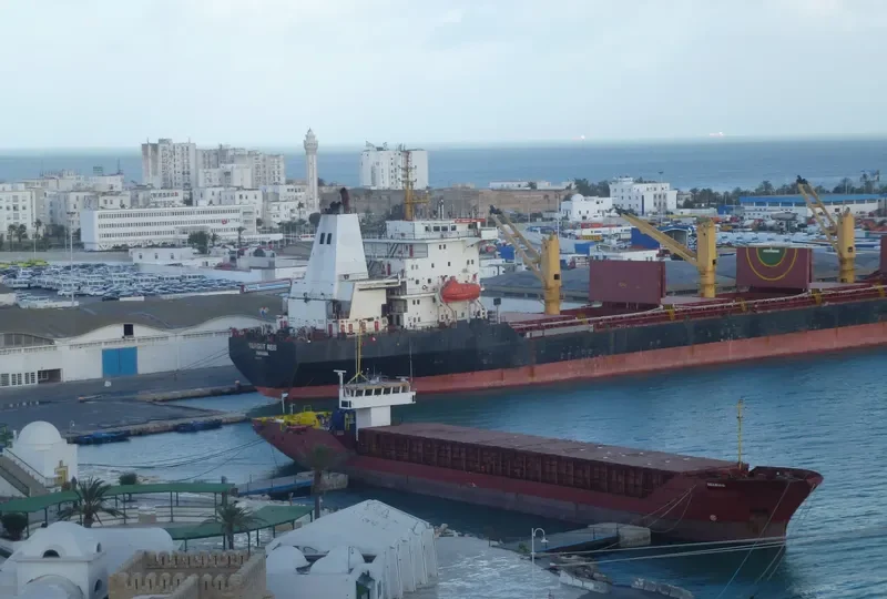 SEA BIRD General Cargo IMO 9091131