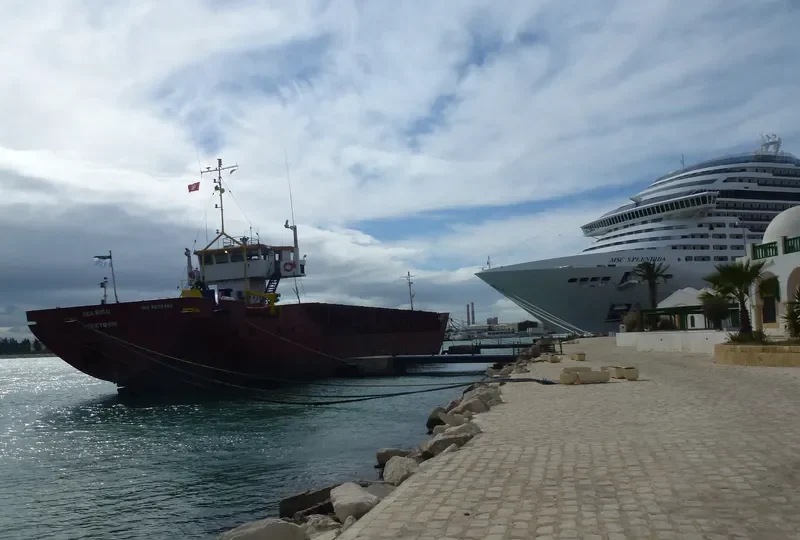 SEA BIRD General Cargo IMO 9091131 photo 2