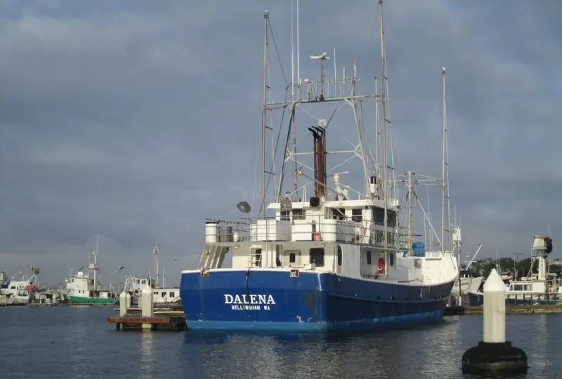 DALENA General Cargo IMO 9092070 photo 2