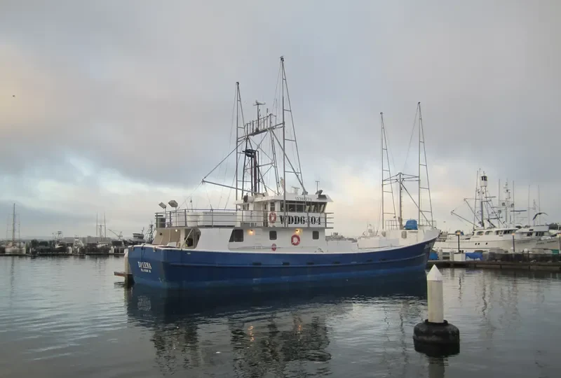DALENA General Cargo IMO 9092070 photo 3