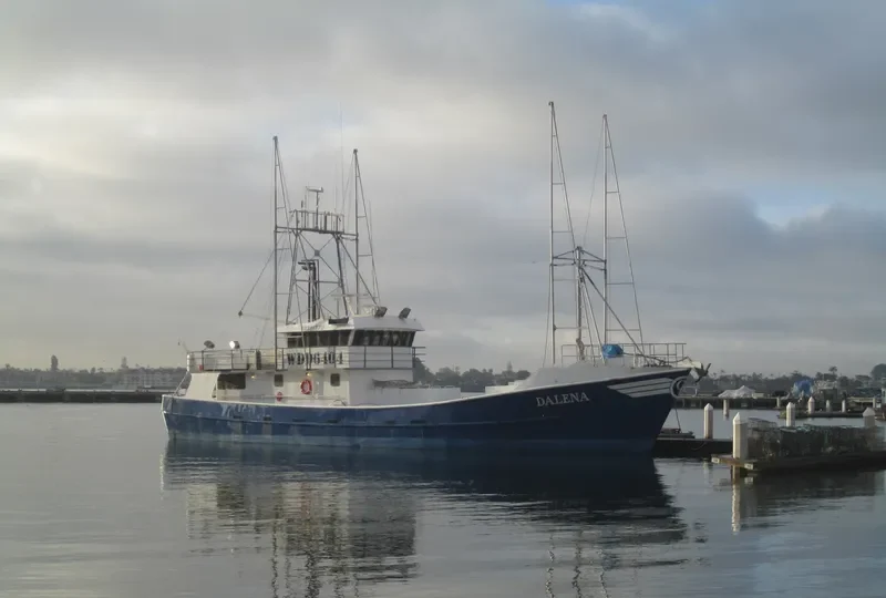 DALENA General Cargo IMO 9092070 photo 4