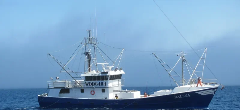 DALENA General Cargo IMO 9092070 photo 5