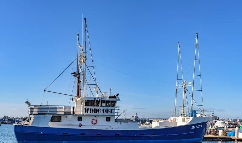 DALENA General Cargo IMO 9092070 photo 7
