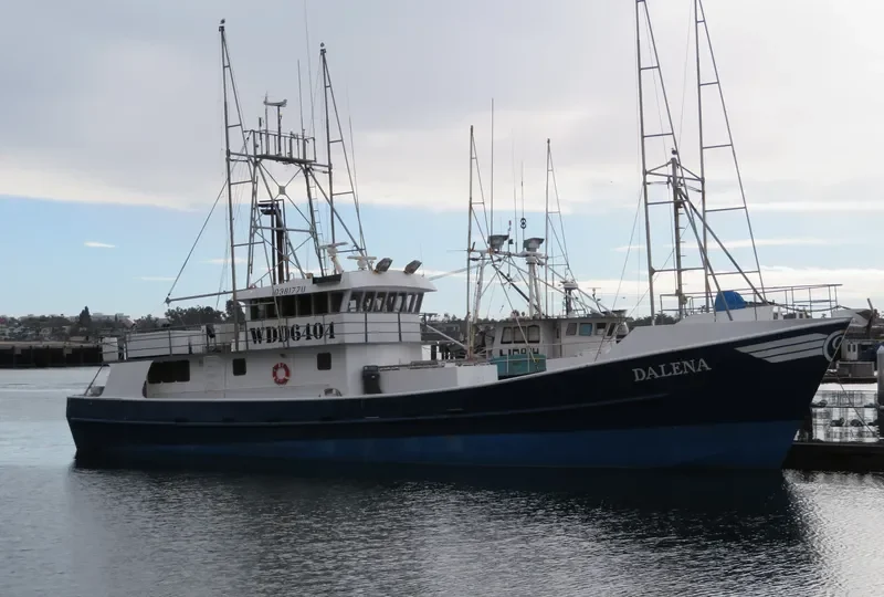 DALENA General Cargo IMO 9092070 photo 9