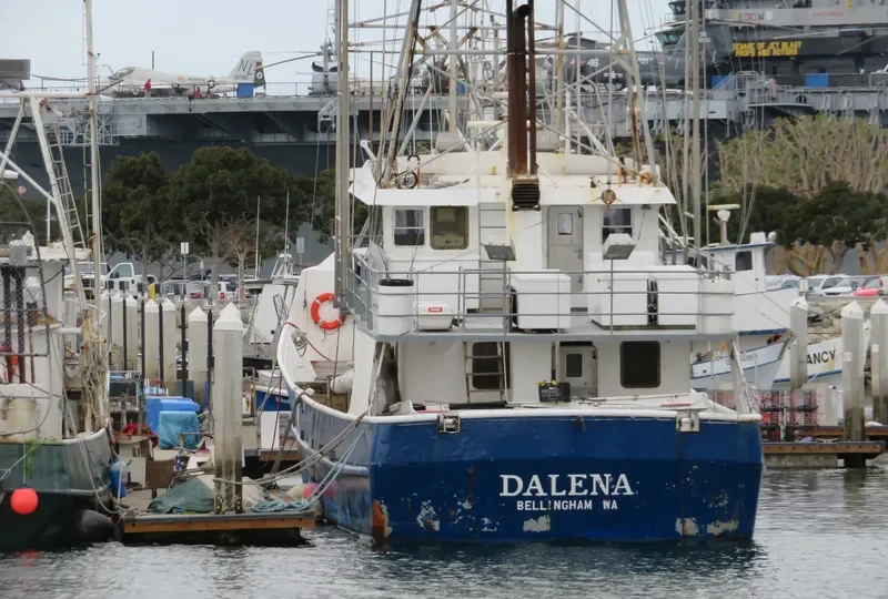 DALENA General Cargo IMO 9092070 photo 10