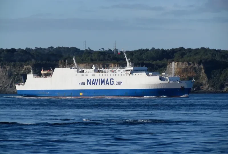 EDEN Passenger Ship IMO 9092379 photo 3