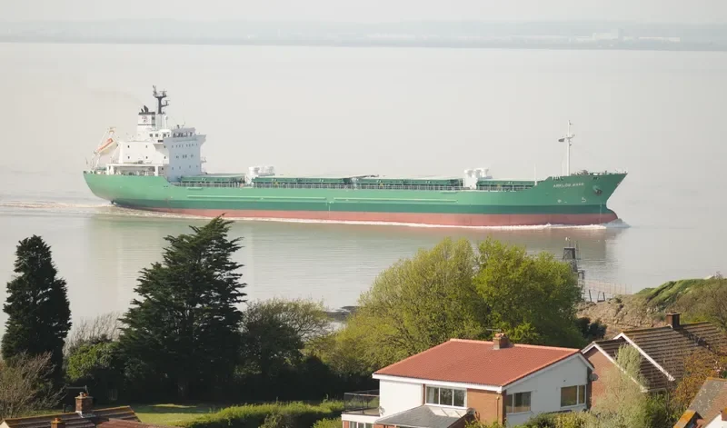 BOA SORTE Passenger Ship IMO 9092484 photo 3