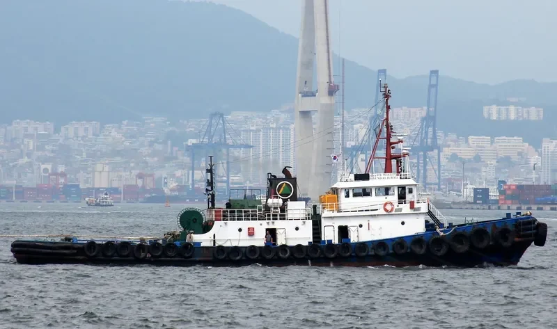 HYUNDAI JUBAIL General Cargo IMO 9092496 photo 2