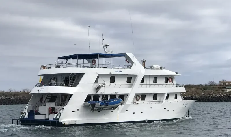 CARINA Passenger Ship IMO 9092599 photo 3
