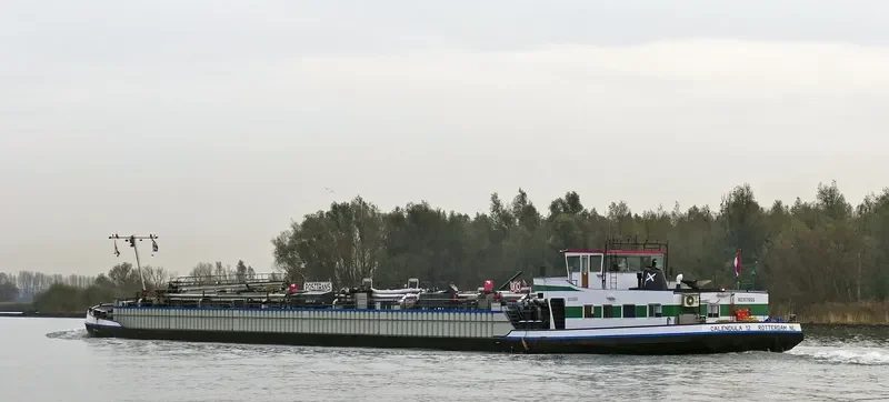 CALENDULA 12 Tanker IMO 9092886