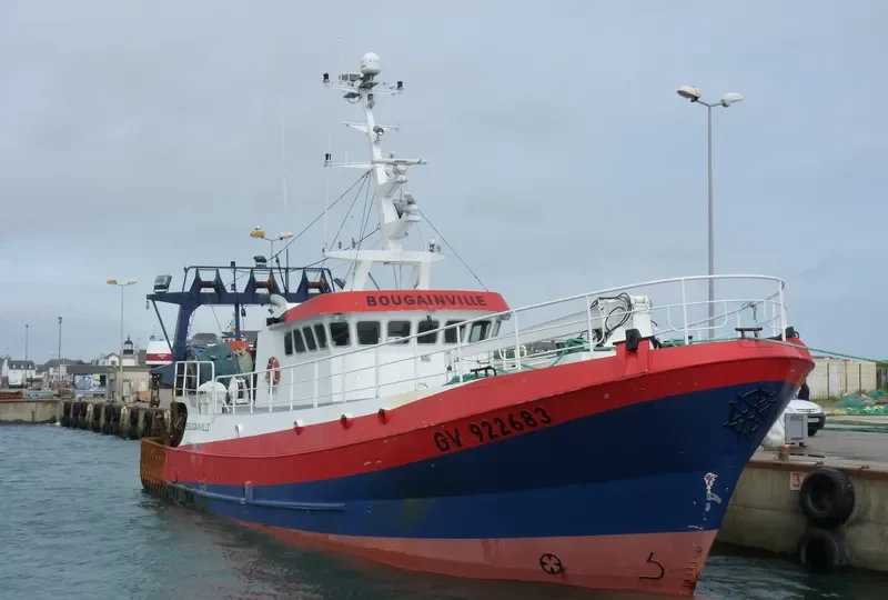 BOUGAINVILLE General Cargo IMO 9093165 photo 8