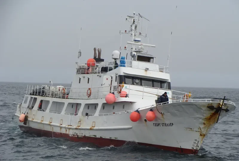 AFINA Passenger Ship IMO 9093189 photo 2