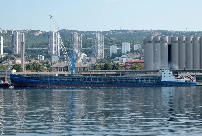 FEOFAN SHOKHIREV General Cargo IMO 9094157 photo 5