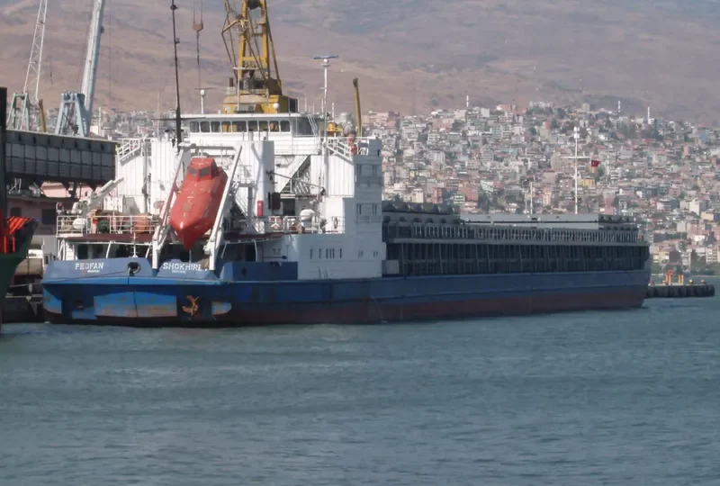 FEOFAN SHOKHIREV General Cargo IMO 9094157 photo 8