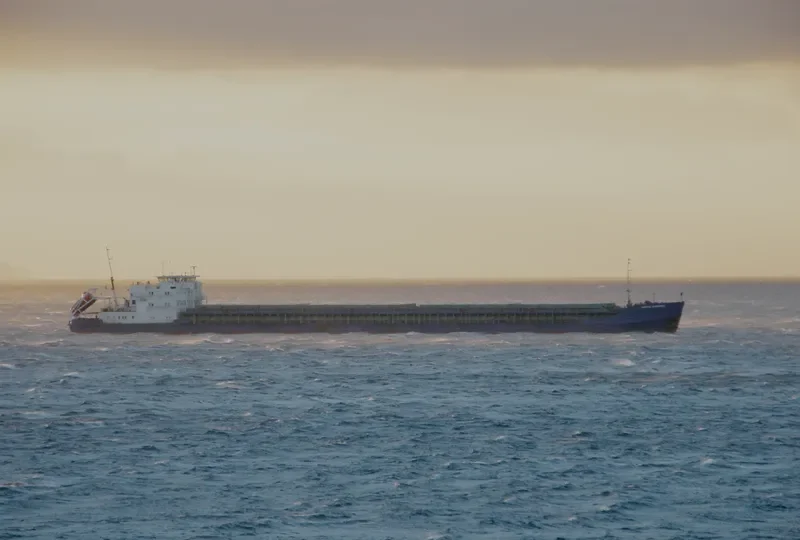 FEOFAN SHOKHIREV General Cargo IMO 9094157 photo 9