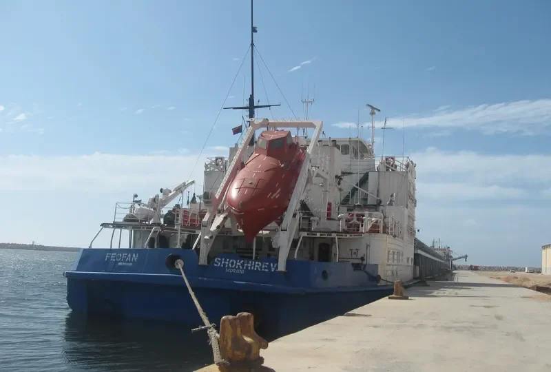 FEOFAN SHOKHIREV General Cargo IMO 9094157 photo 10