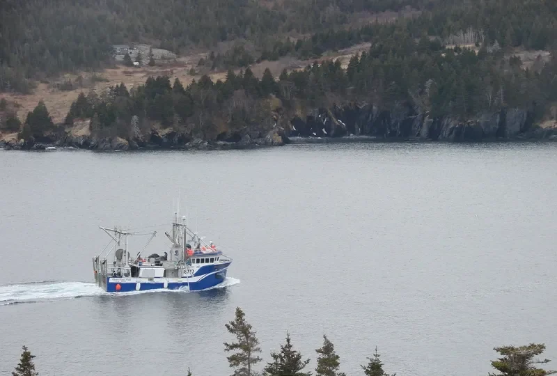 CLEARS COVE PRIDE General Cargo IMO 9094171 photo 2