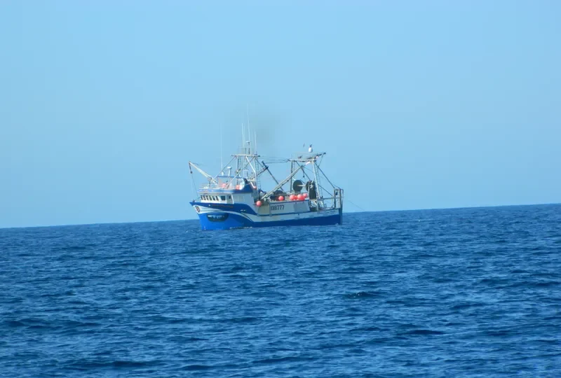 CLEARS COVE PRIDE General Cargo IMO 9094171 photo 3