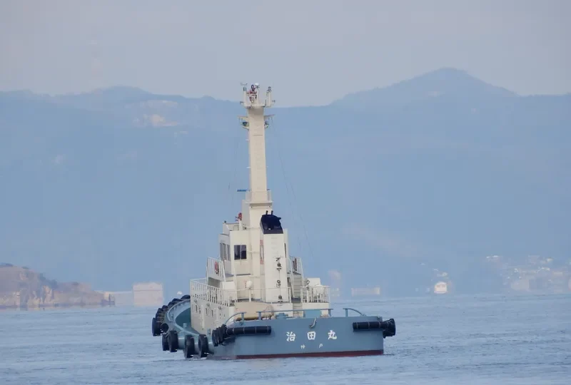 HARUTA MARU General Cargo IMO 9094391 photo 2