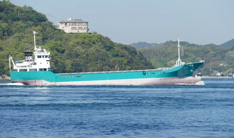 HAKUSHIN MARU General Cargo IMO 9094597 photo 4