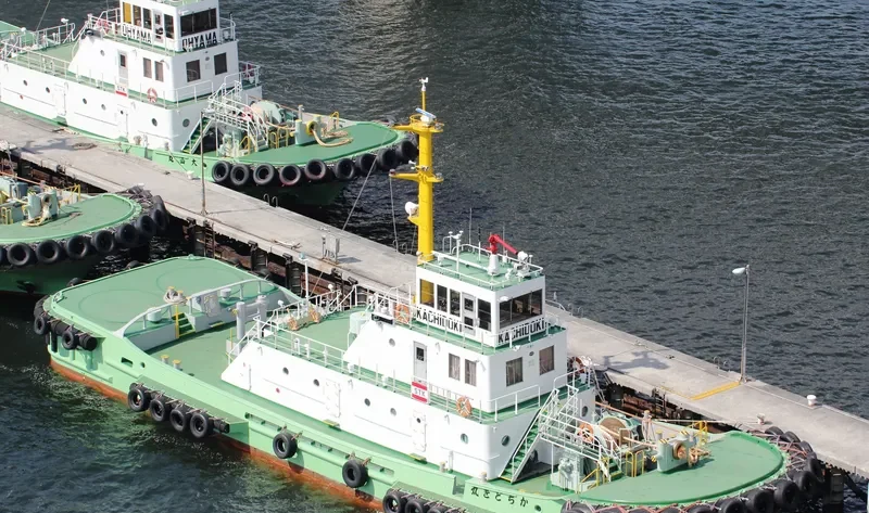 KACHIDOKI MARU General Cargo IMO 9094690 photo 2