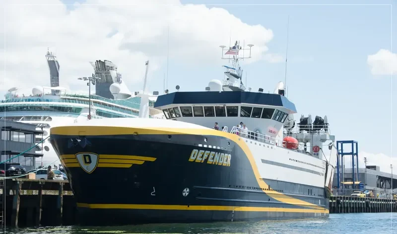 DEFENDER General Cargo IMO 9095008 photo 2