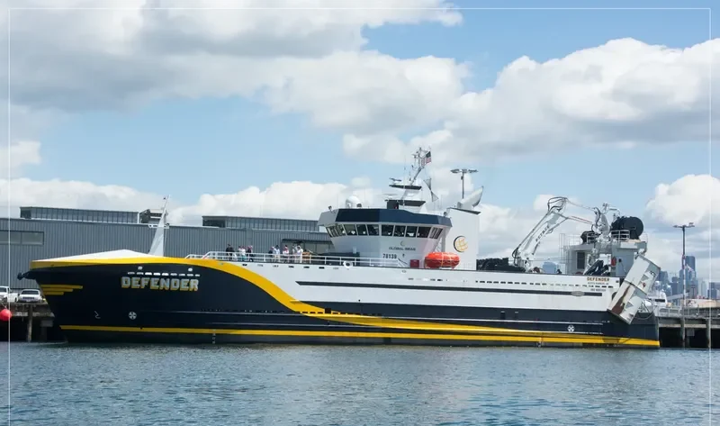 DEFENDER General Cargo IMO 9095008 photo 3