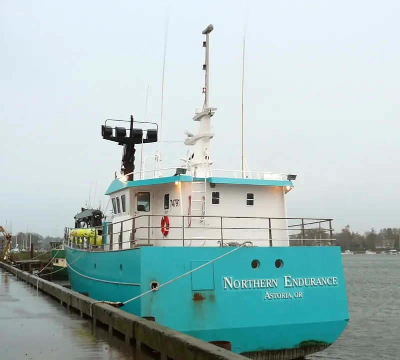 NORTHERN ENDURANCE General Cargo IMO 9095022 photo 2