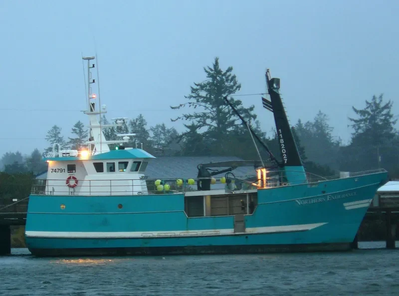 NORTHERN ENDURANCE General Cargo IMO 9095022 photo 3