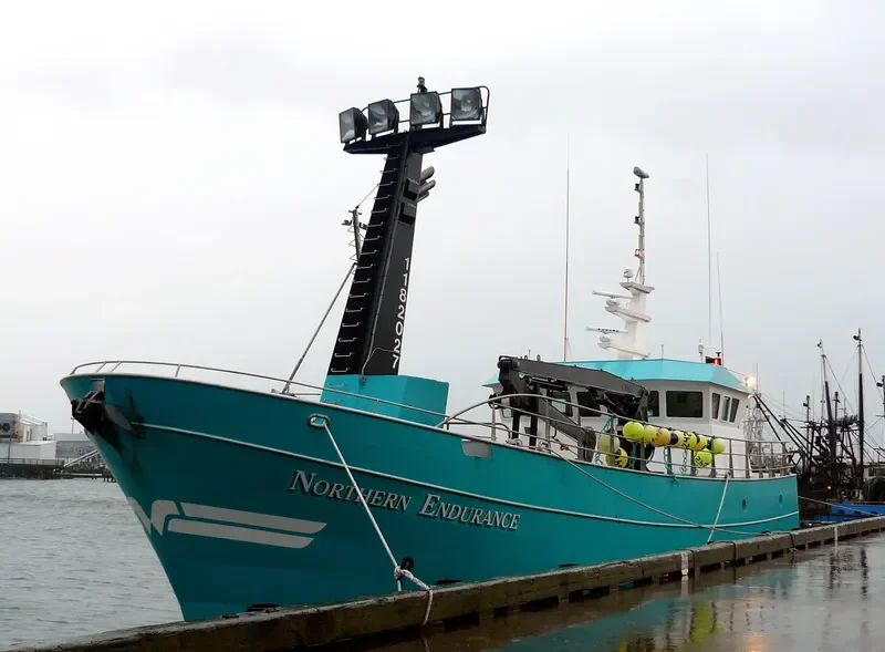 NORTHERN ENDURANCE General Cargo IMO 9095022 photo 4