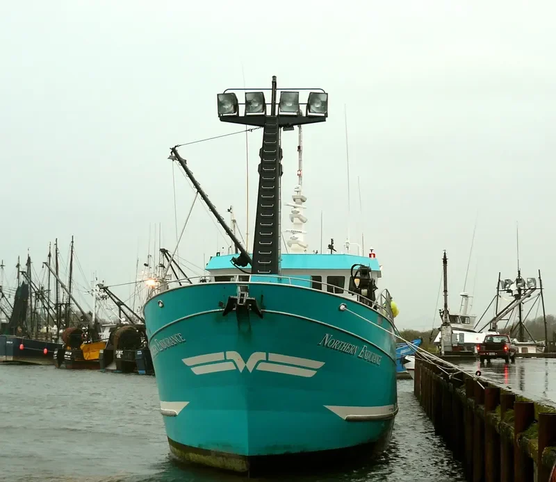NORTHERN ENDURANCE General Cargo IMO 9095022 photo 5