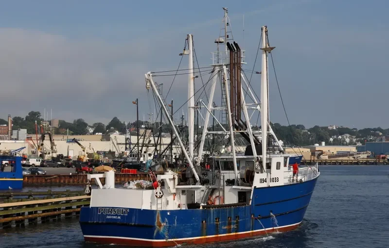 PURSUIT General Cargo IMO 9095034