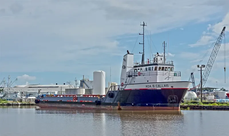 BLUE WING Offshore Vessel IMO 9095084