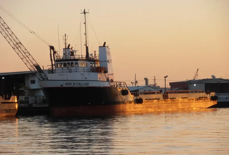BLUE WING Offshore Vessel IMO 9095084 photo 3