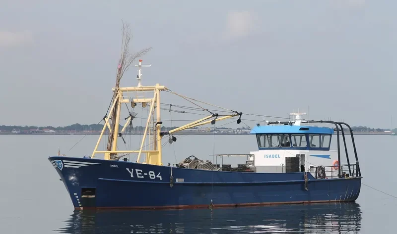 ISABEL General Cargo IMO 9095163