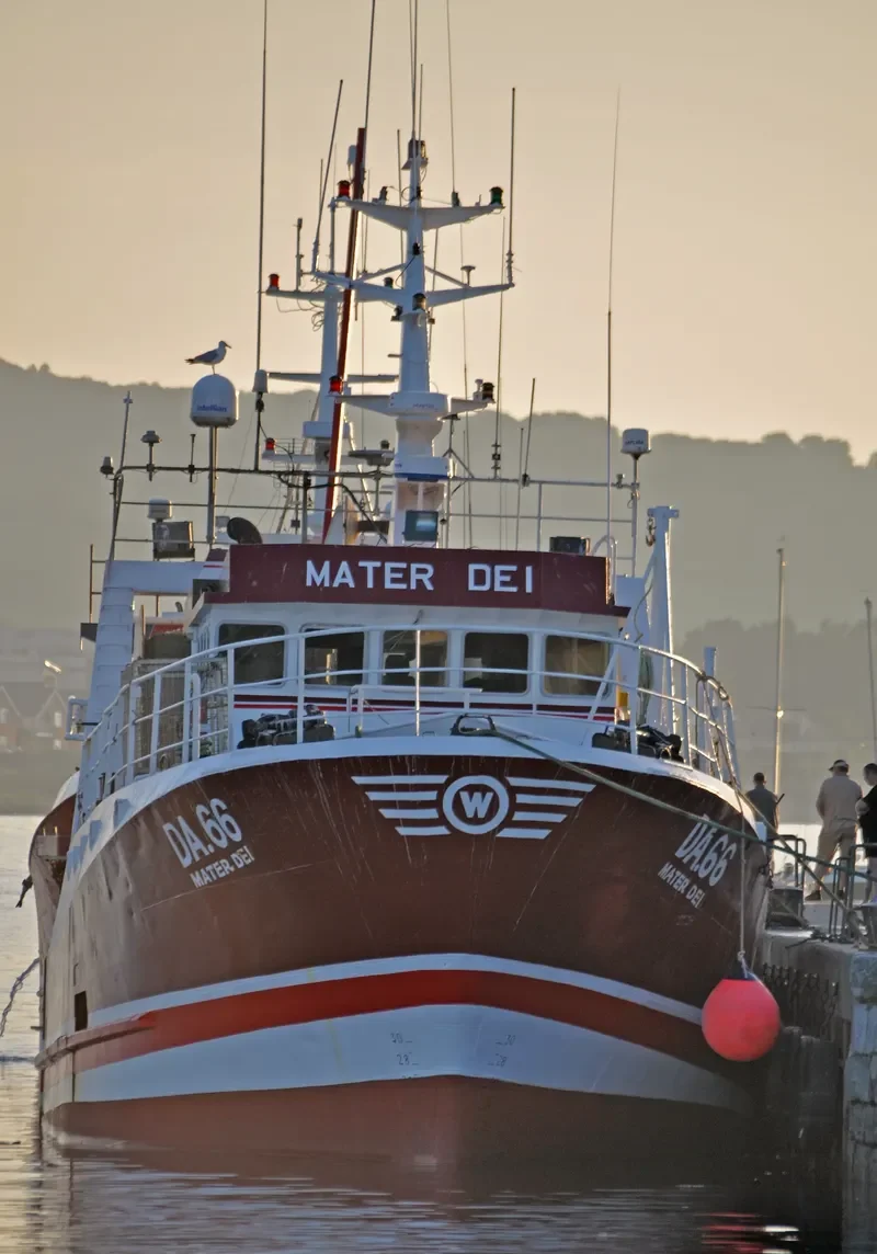 FAIRHAVENS General Cargo IMO 9095175 photo 2