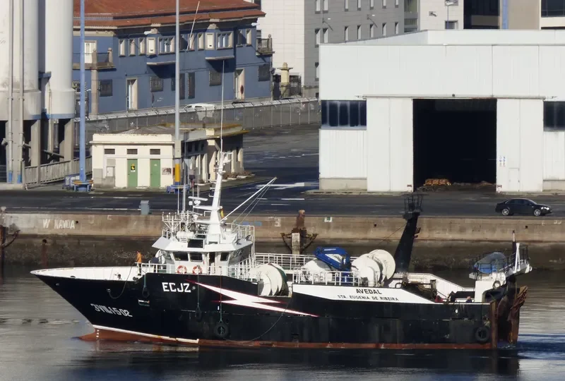 AVEDAL General Cargo IMO 9095242