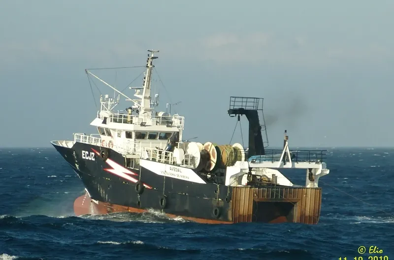 AVEDAL General Cargo IMO 9095242 photo 3