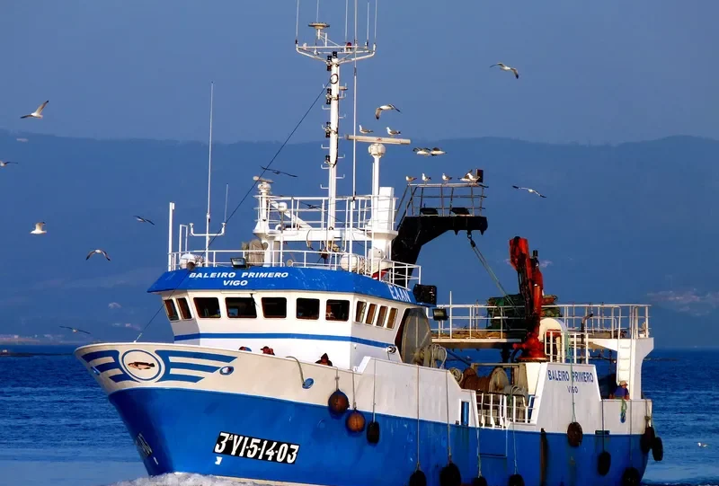 BALEIRO PRIMEIRO General Cargo IMO 9095254 photo 7