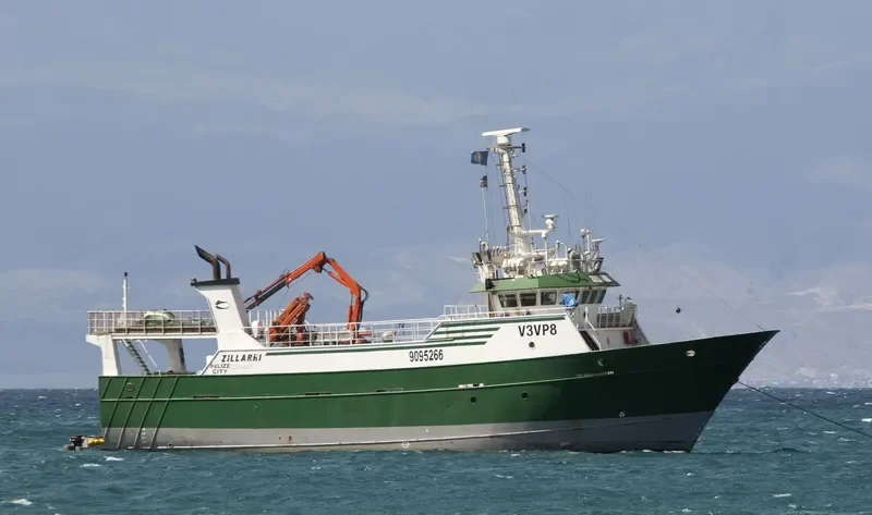 ZILLARRI General Cargo IMO 9095266 photo 3