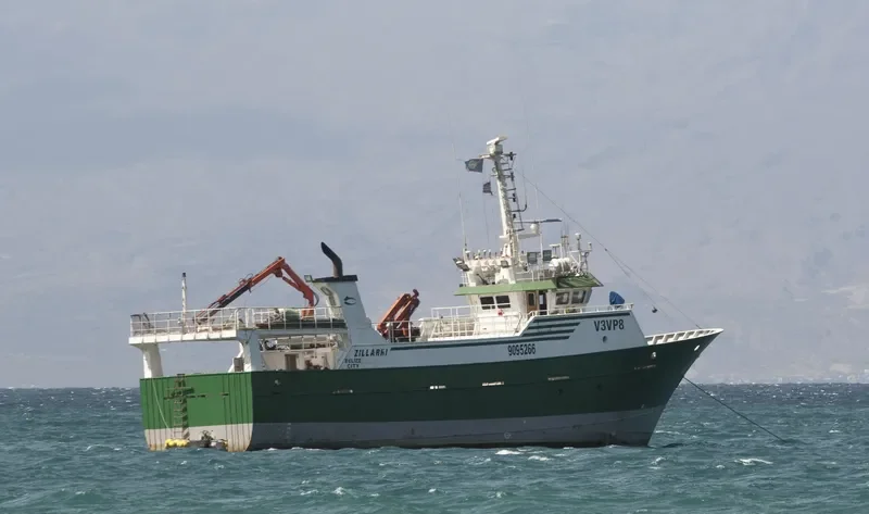 ZILLARRI General Cargo IMO 9095266 photo 4