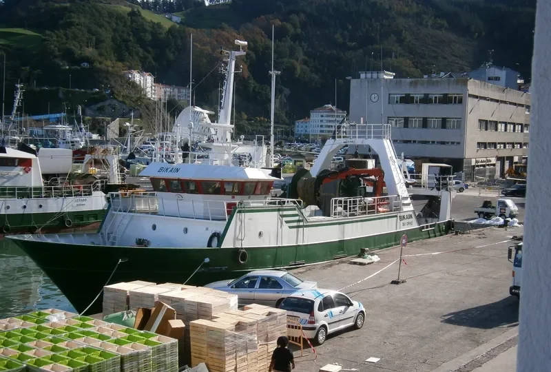 BIKAIN General Cargo IMO 9095333 photo 5